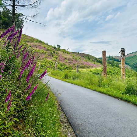 Traumwohnung Mit Sauna & Kamin, Direkt Am Wald Plettenberg Exterior foto